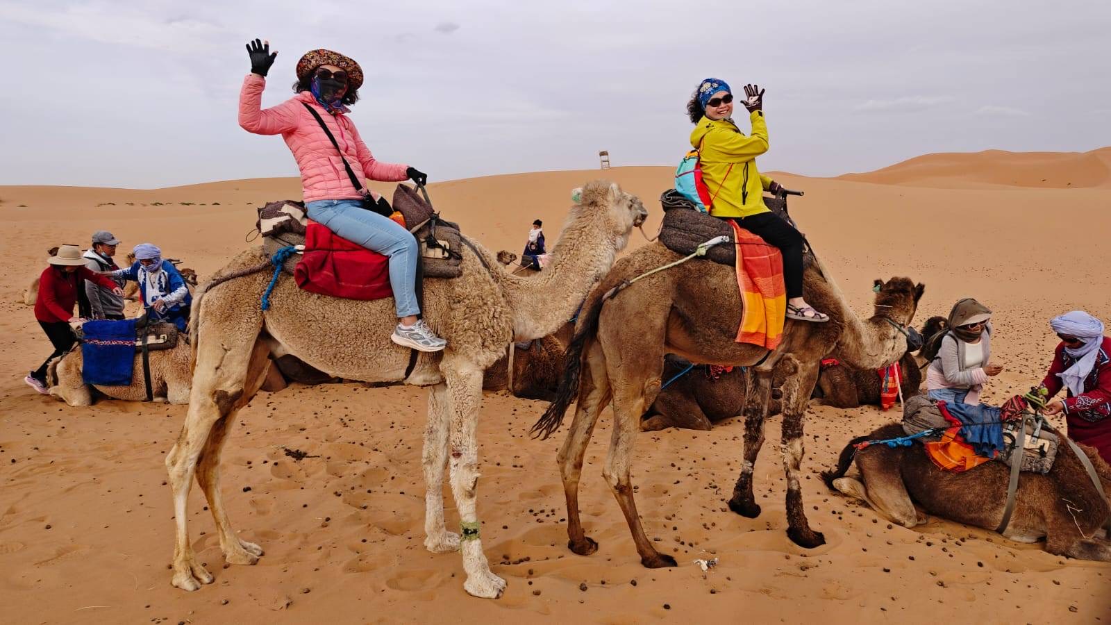 2026 已確認出發團體